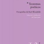 TEOREMAS POETICOS